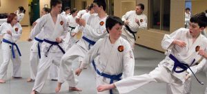 Fournier Dojo - Fonthill