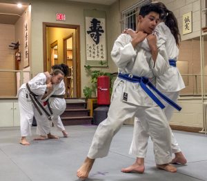 Fournier Dojo – Fonthill